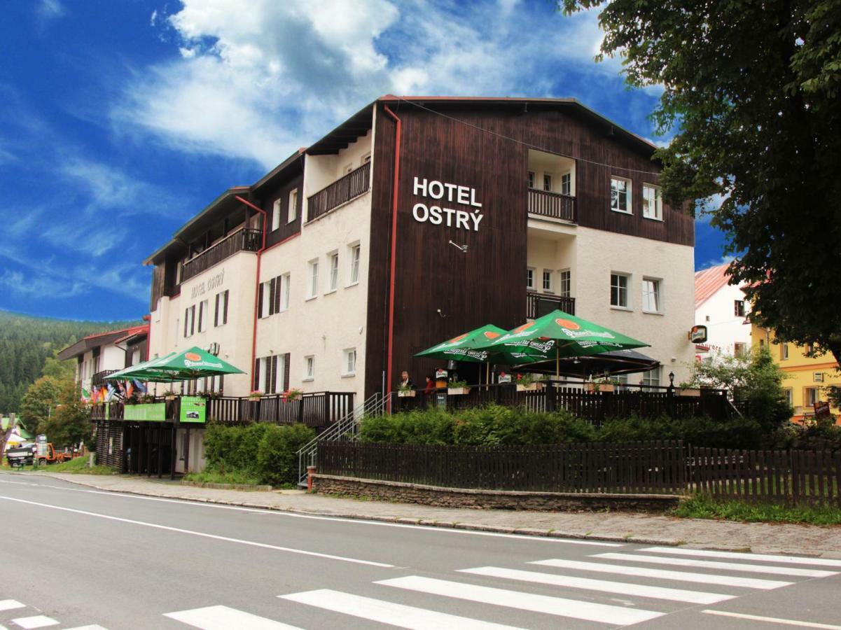 Apartmany Hotelu Ostry Zelezna Ruda Exterior foto